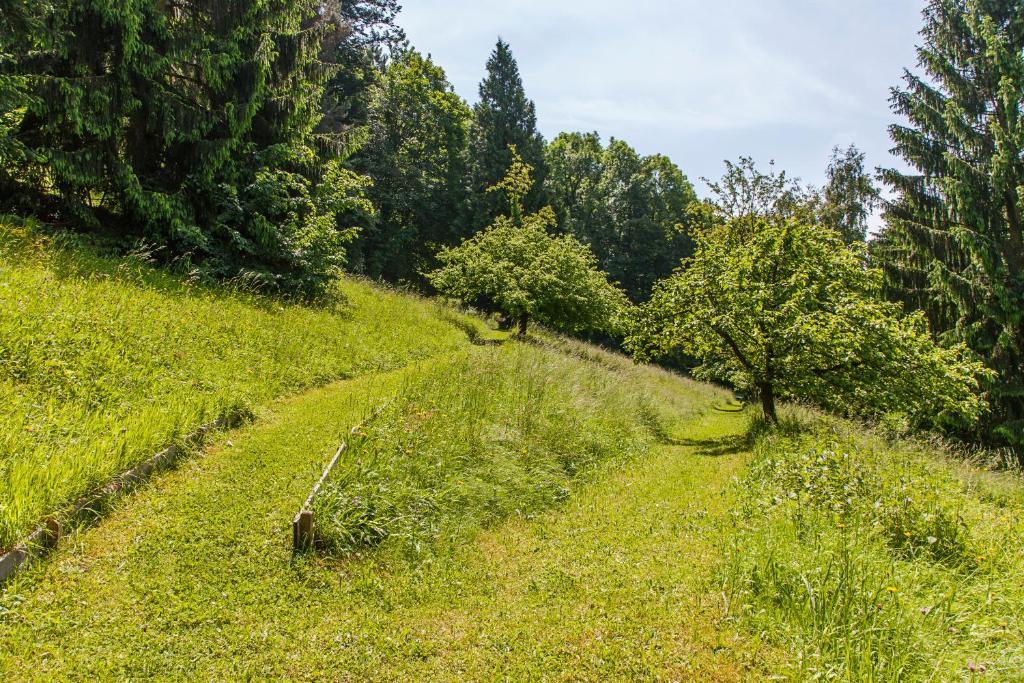 Caritas Tagungszentrum Freiburg Bagian luar foto